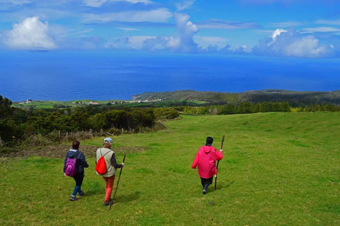 Grupo em caminhada guiada pelos pastos da ilha Terceira