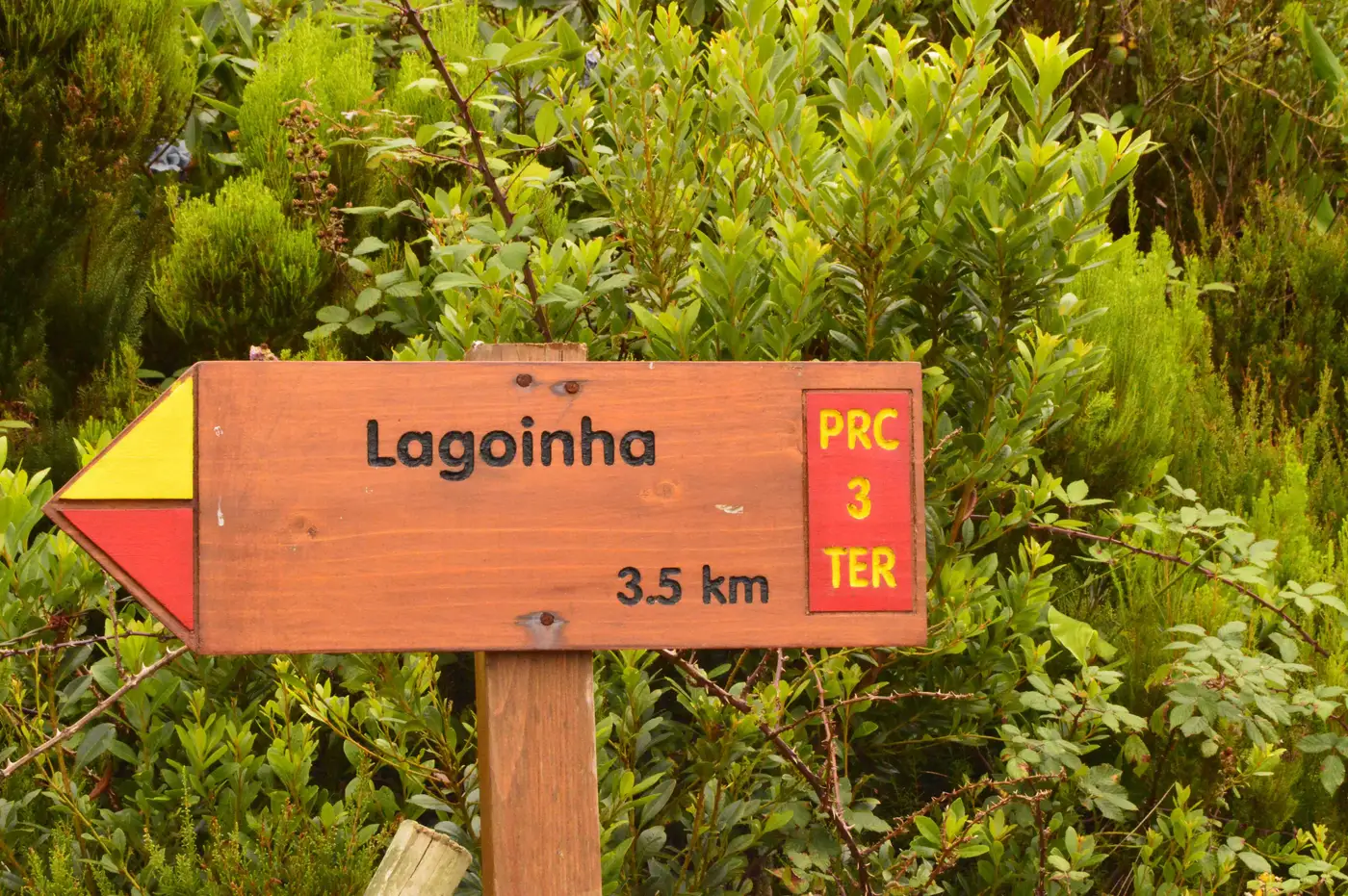 Caminhada da Lagoinha, Terceira
