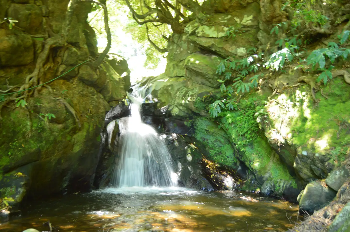 Cascata no trilho, ilha Terceira
